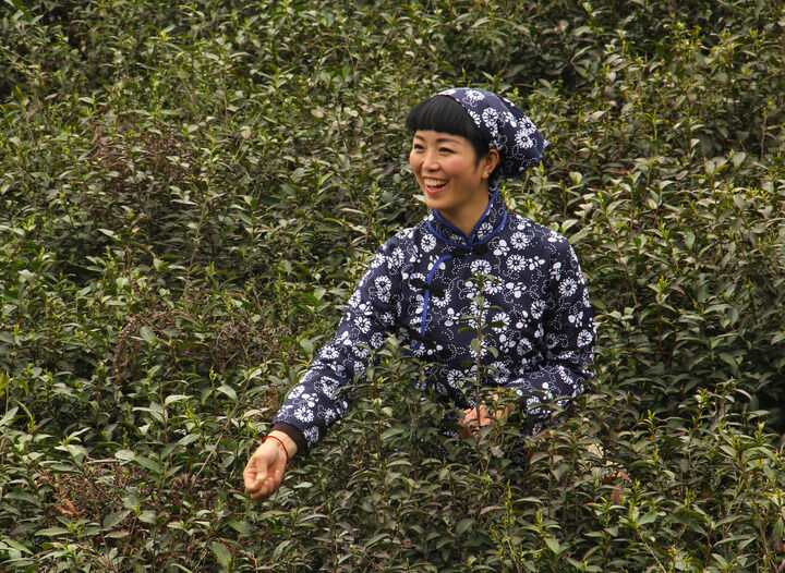 伊人app淫直播永久 排行5